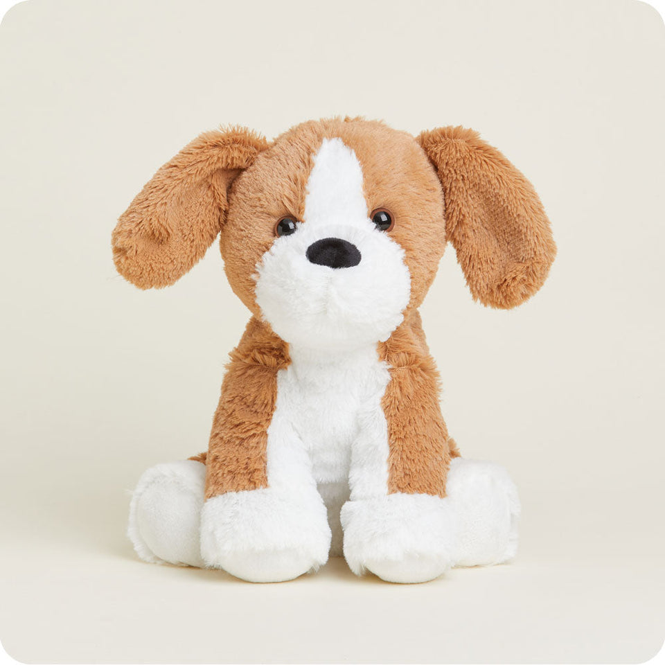 Beagle Warmies - Soft Everyday Favorite