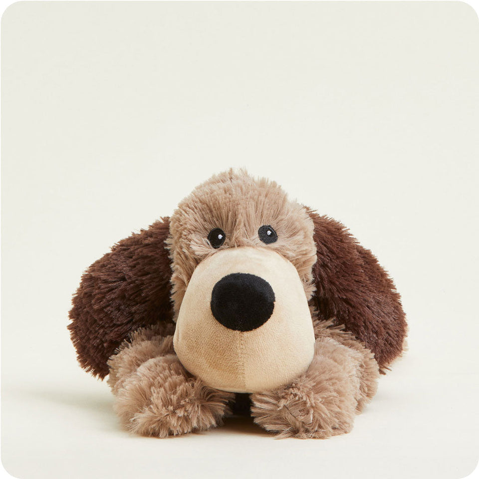 Brown Dog Warmies - Comfort Made Simple