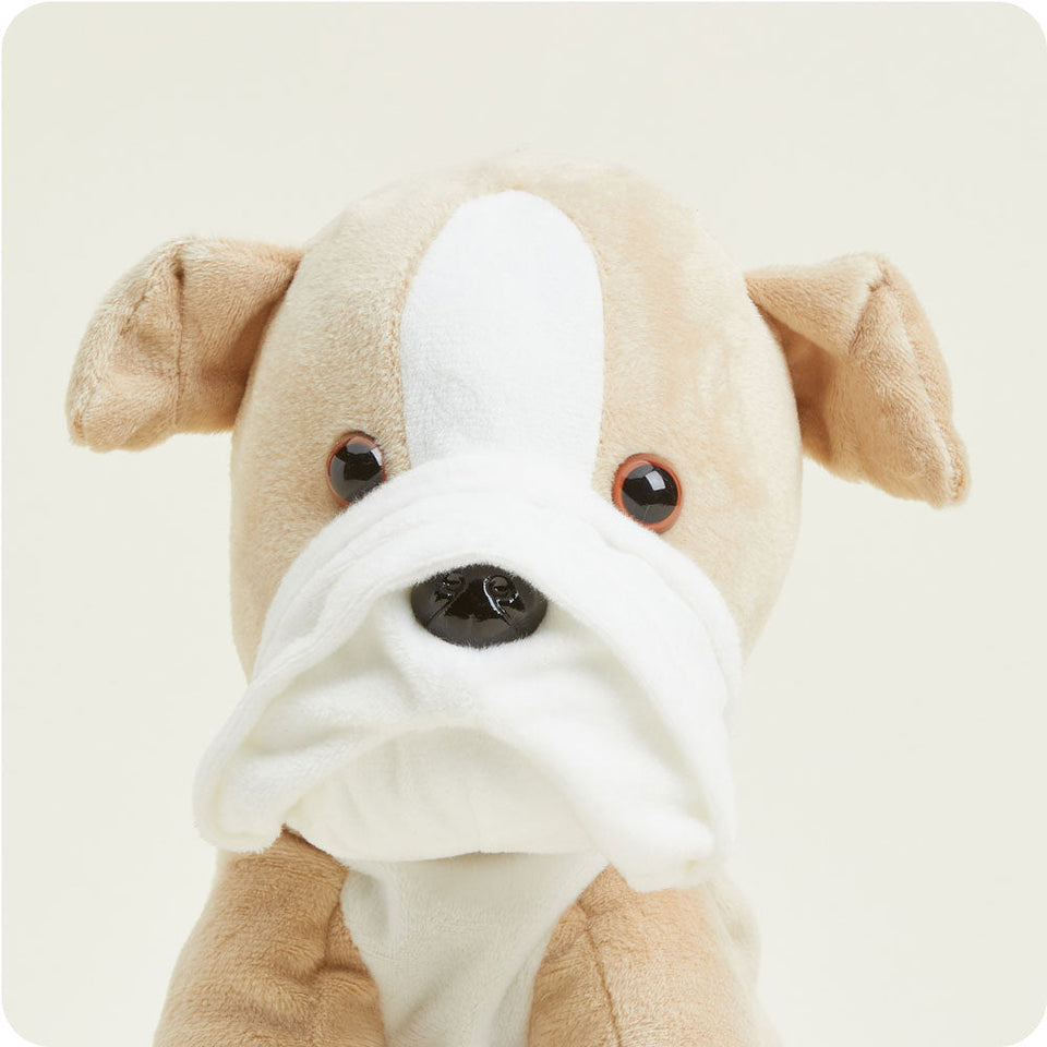 Bulldog Warmies - Easy Gift Choice
