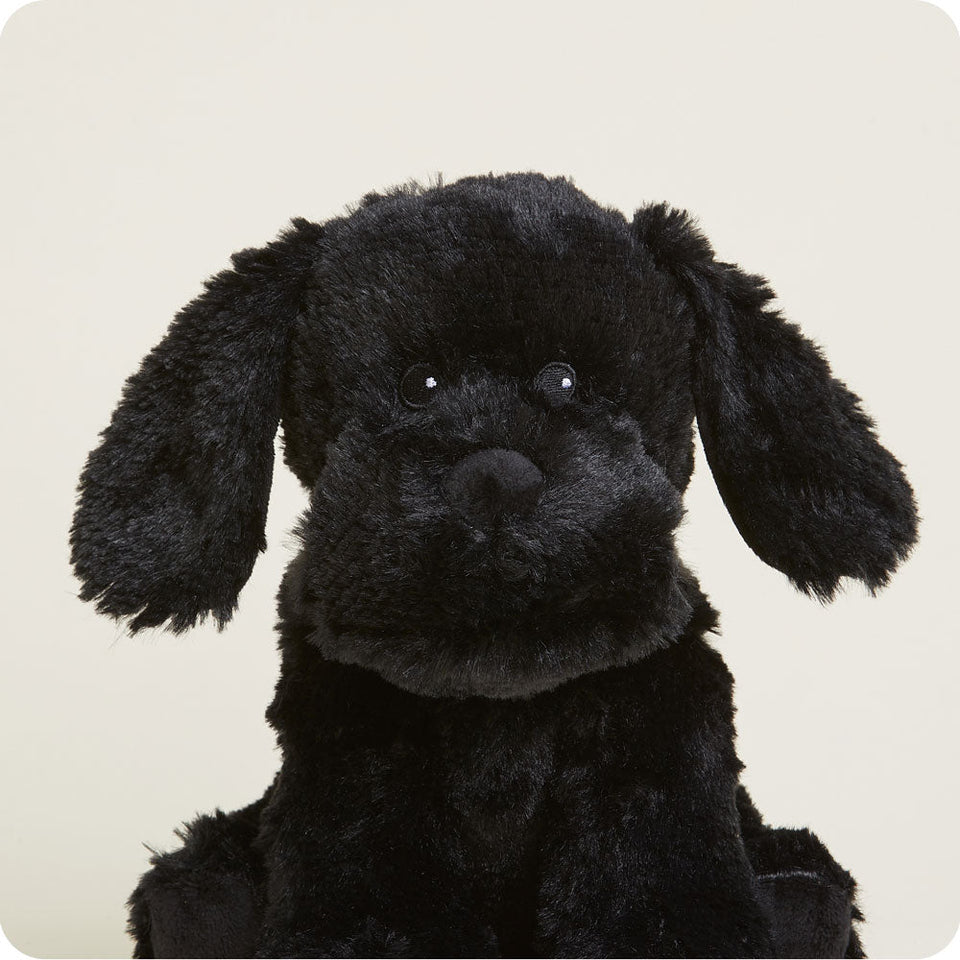 Black Labrador Warmies - Comfort Made Simple