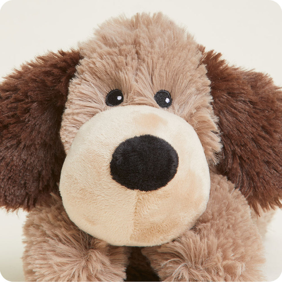 Brown Dog Warmies Junior - Daily Comfort Pick