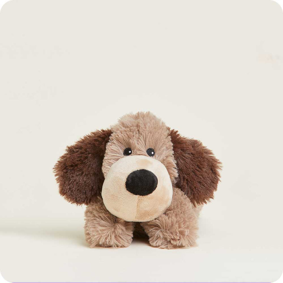 Brown Dog Warmies Junior - Daily Comfort Pick