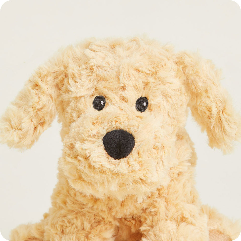 Golden Dog Warmies Junior - Warm Gift Favorite