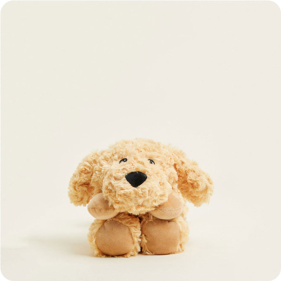 Golden Dog Warmies Wrap - Quiet Cozy Moment