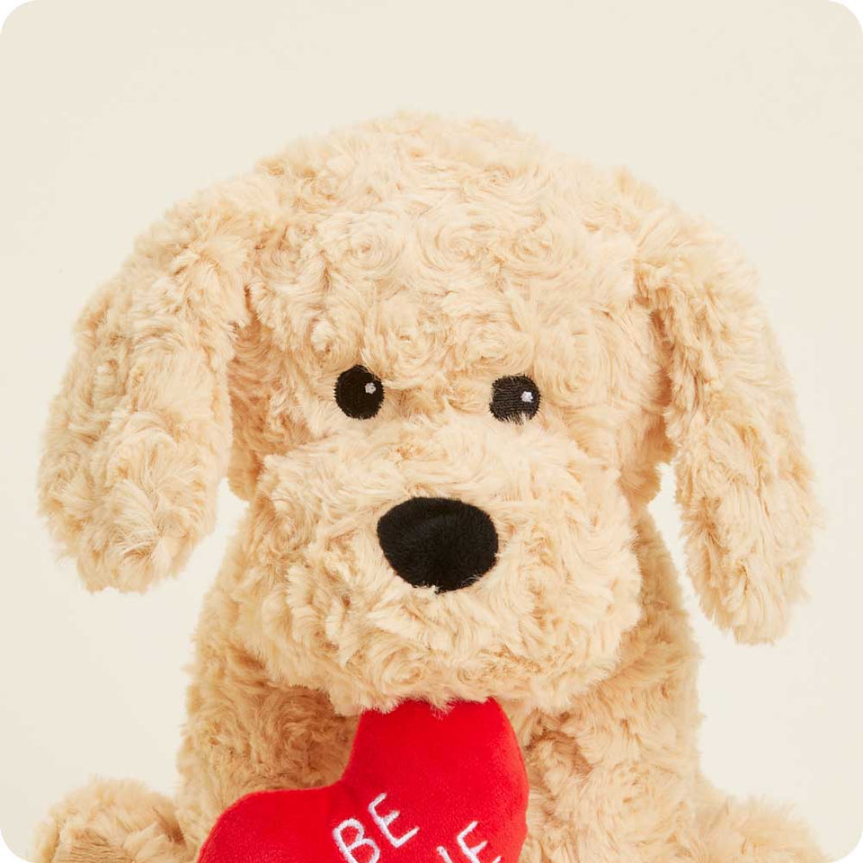 Be Mine Golden Dog Warmies - Warm Gift Favorite