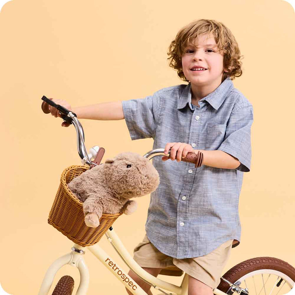 Capybara Warmies - Easy Gift Choice