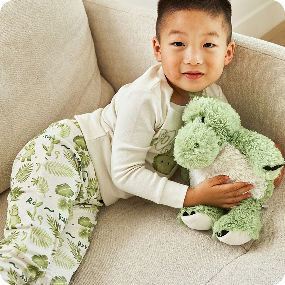 Green Dinosaur Warmies - Daily Comfort Pick